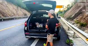 Dừng xe trên cao tốc